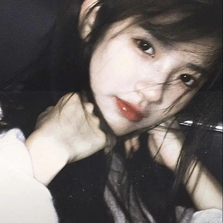 丹尼玫瑰